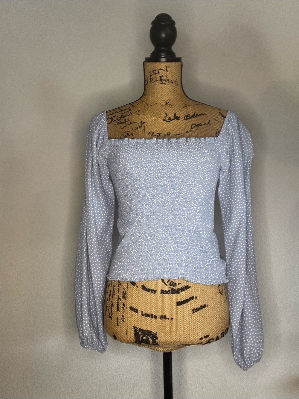American Eagle Outfitters Light Blue Polka Dot Smocked Long Sleeve Top